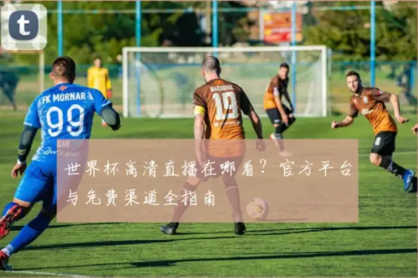 世界杯直播在线观看高清官方渠道指南